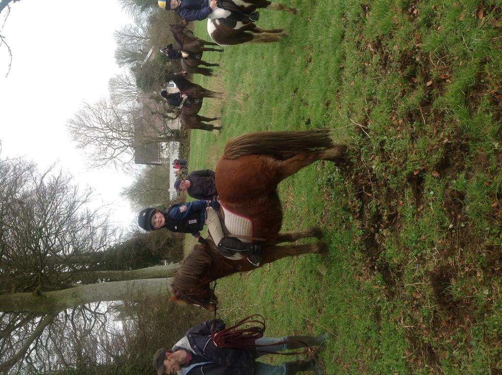 Innisfree Bunratty