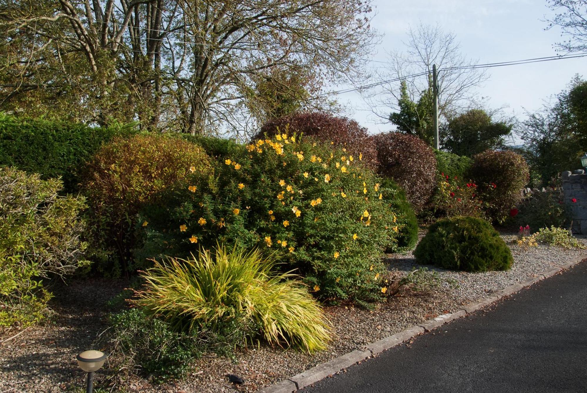 Innisfree 4* Bunratty